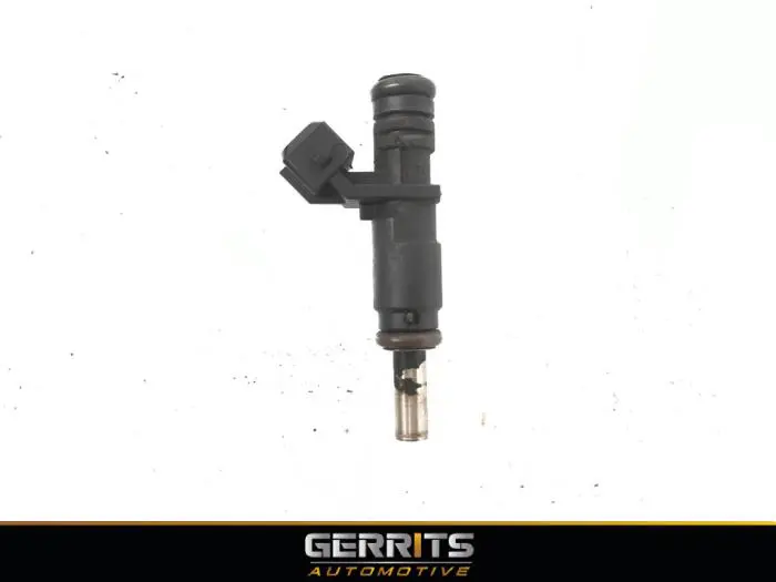 Injector (petrol injection) BMW X5
