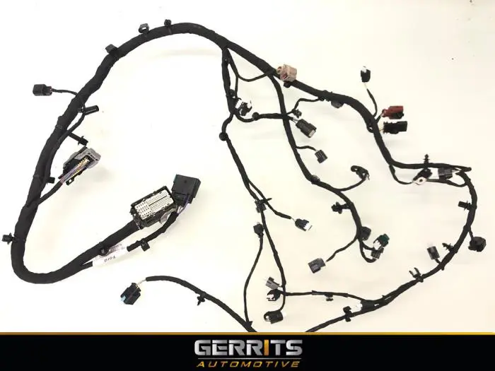 Wiring harness Ford Focus