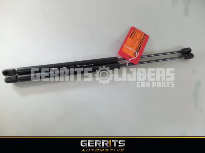 Set of tailgate gas struts Peugeot 206