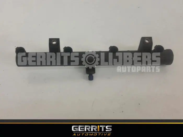 Galerij (Injectie) Peugeot 206